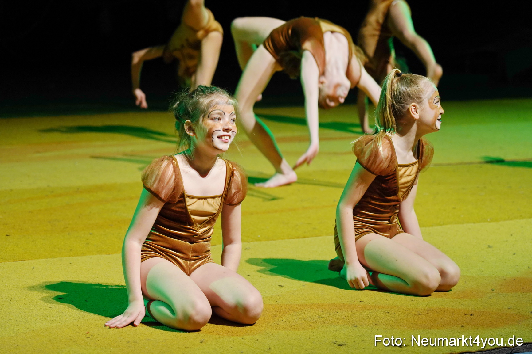 Artico Artistical Dschungelbuch 2020 0103